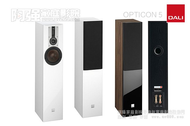 _(d)W5 OPTICON 5С