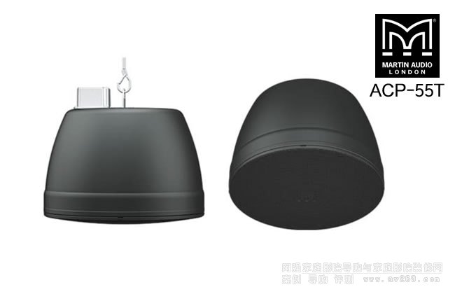 Ӣ(gu)ACP-55TMARTIN AUDIO 5.25ҵP(yng)
